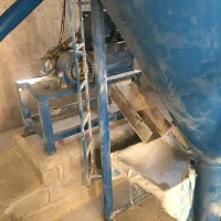 دانه رشد جوجه مرغ تخمگذار ولاری مسابقات
