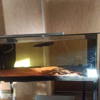 چانا رد مارو باریتو