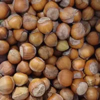 فندوق اشکور رحیم اباد