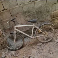 دوچرخه۲۴