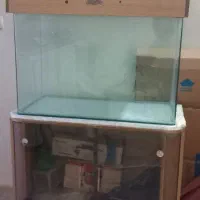اکواریوم