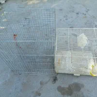 2 عدد قفس پرنده