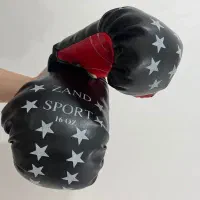 دستکش و کیسه بوکس