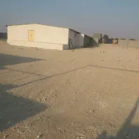 فروش مرغداری گوشتی ۲۰۰۰۰