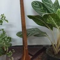 سه تار