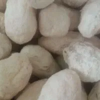 کشک بیرجندی
