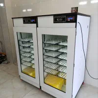 دستگاه جوجه کشی تمام اتوماتیک