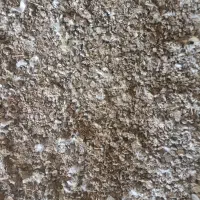 کود کبوتر