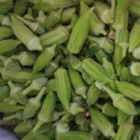 بامیه شادگان تازه و درجه یک