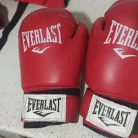 دستکش وشو و بوکس EVERLAST