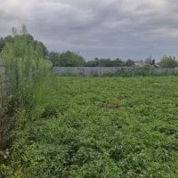1100متر-زمین-شهری-دور-دیوار-قابل-تفکیک-کورکا