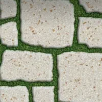 سرامیک ۶۰در۶۰ طرح چمن