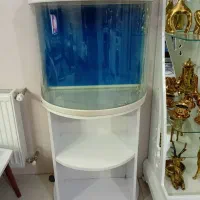 آکواریوم شرکتی