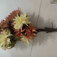 گل دکوری و تزیینی داوودی
