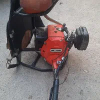 علفزن . اکو ژاپن