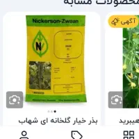 بذر
