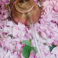 گلاب اصل کاشان