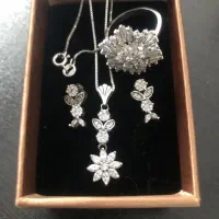 مجموعه کلکسیونی نقره گرمی ۶۵۰