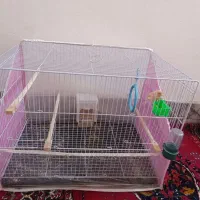 قفس پرنده