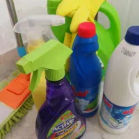 شرکت خدماتی و نظافتی پاک اندیشان(شماره ثبت ۳۷۴۱۰)