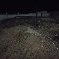 کود گوسفندی