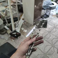 رگال ساچمه ای
