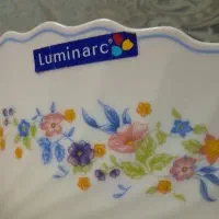 انواع دیس آرکوپال ویکتوریا اصل