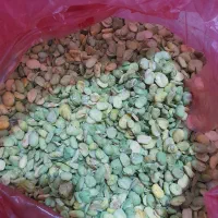 باقله تازه