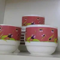 فنجون و نعلبکی