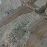 خاک اره چوب گردو خشک۱۰۰درصد