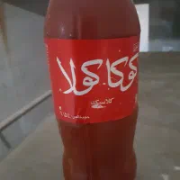 رب  خانگی