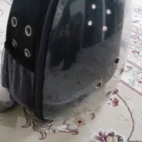 کوله پرنده وسگ وگربه