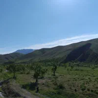 زمین مسکونی