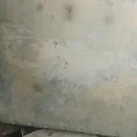 حلزونی با تهی کولر