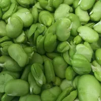 سبزی خورشت و هویج نگینی کاسنی کوهی