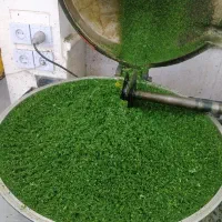 سبزی آماده . تمیز و بهداشتی . ارسال فوری