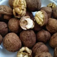 گردو خیس امسالی (گردو قوچان )
