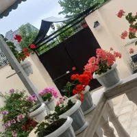 دوعدد‌ سر‌ دری‌ دروازه‌ ورق‌ ضخیم‌وسنگین