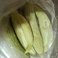 خیار چنبر