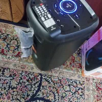 درحدنو|سیستم صوتی خانگی|رشت, دیانتی|دیوار