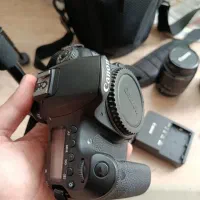 canon d60