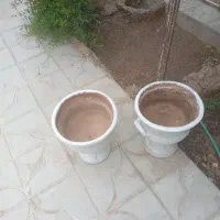 گل دان