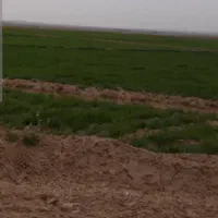 مزایده