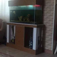 آکواریوم بزرگ شیشه خم