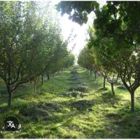 فروش-باغ-محدوده-پسک-متراژ1170-متر