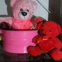 دوتا عروسک ولنتاینی