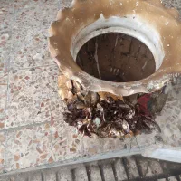 گلدان بزرگ  برای