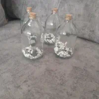 تنگ زبرا ماهی عید تراریوم