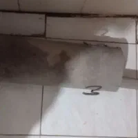 اگزوز 405