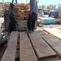 خریدار چوب چنار و کردو نارون بید توت  تبریزی